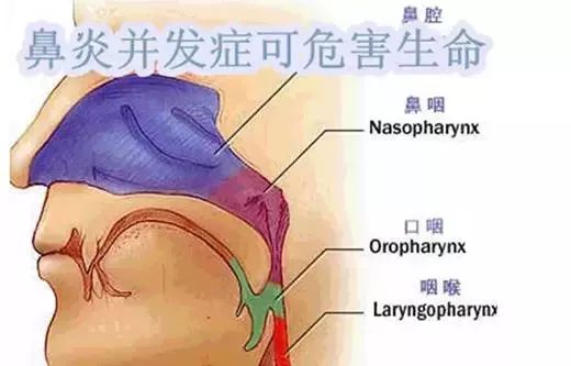 鸟惊鱼骇 第2页