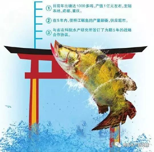网上打印店 第45页