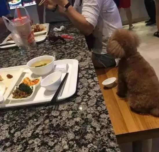 网上打印店 第26页
