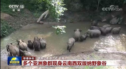 名士风流